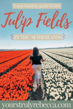 a woman walking through a field full of flowers with text overlay that reads, a non - touristy guide to the tulip fields in the netherlands