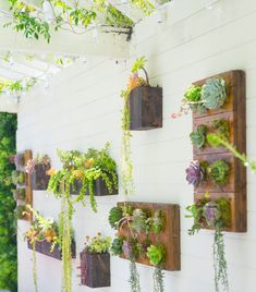 an outdoor area with several hanging plants on the wall