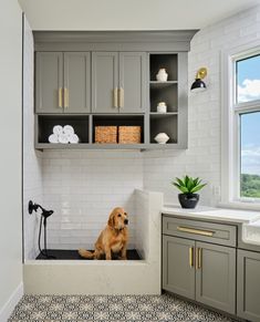 a dog sitting in the corner of a bathroom with gray cabinets and tile flooring