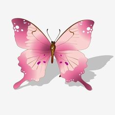 a pink butterfly on a white background