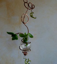 a glass vase filled with green plants hanging from it's side on a wall