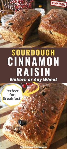 the cover of sourdough cinnamon raisin bread