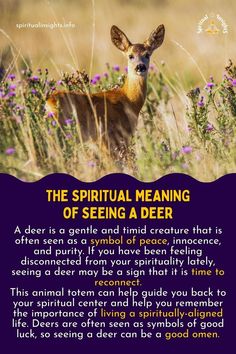 The Spiritual Meaning of Seeing a Deer Animal Totem Spirit Guides, Feeling Disconnected, Dream Symbols, Natural Cough Remedies