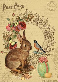 a rabbit sitting next to a bird on top of a piece of paper with flowers