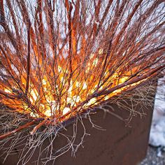 the fire is lit up and it looks like it's coming out of the ground