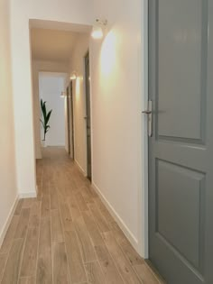 an empty hallway with light wood floors and white walls, leading to a plant in the corner