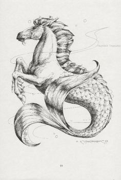 a black and white drawing of a horse with its tail curled up in the shape of a mermaid