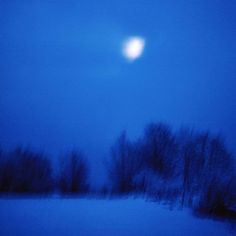 a full moon is seen in the sky over a snow covered field with trees and bushes