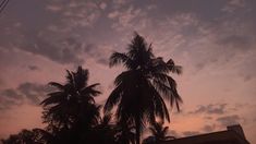 the sun is setting behind some palm trees