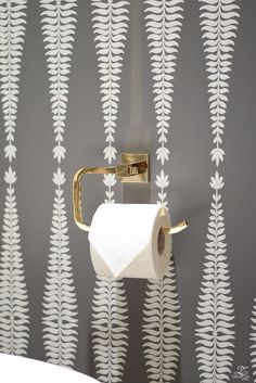 a roll of toilet paper is hanging on the wall