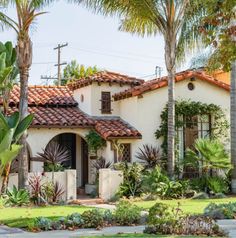 a house with palm trees in front of it and landscaping on the side yard area