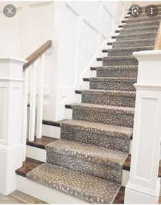 a set of stairs with white railings and brown carpet on the bottom, leading up to an upstairs landing area