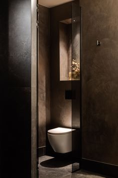 a bathroom with a toilet in the corner