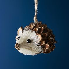 a close up of a bird's head hanging from a pine cone on a string