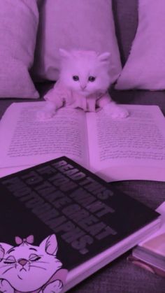 a white cat laying on top of an open book