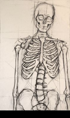 a drawing of a skeleton sitting down