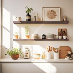 the shelves are filled with kitchen items and plants