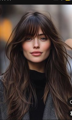 Fringe Long Layered Hair, Medium Brown Hair Curtain Bangs, Curtain Layers Hair, Chocolate Brown Hair With Layers And Curtain Bangs, Straight Long Hair With Curtain Bangs, Curtain Bangs Widows Peak Hair, Curtain Bangs Long Hair Balayage, Long Elegant Hair, Bangs With Long Layered Hair