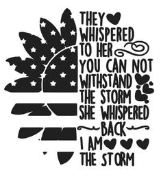 an american flag with the words they whipped to her you can not whisk the storm