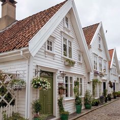 a row of white houses with potted plants on the front and side windows,