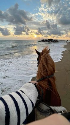 a horse that is standing in the sand