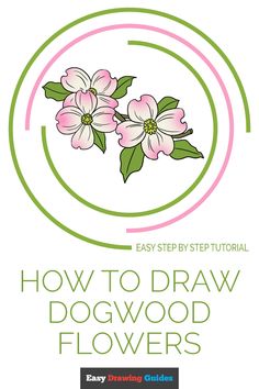 how to draw dogwood flowers with easy step - by - step instructions for beginners