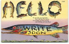 an old postcard with some fish on it