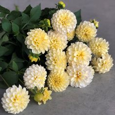 yellow and white flowers are laying on the ground