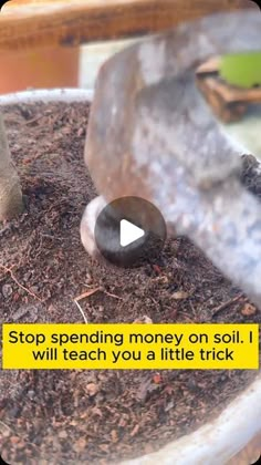 a potted plant with a hammer stuck in it and the words stop spending money on soil will teach you a little trick