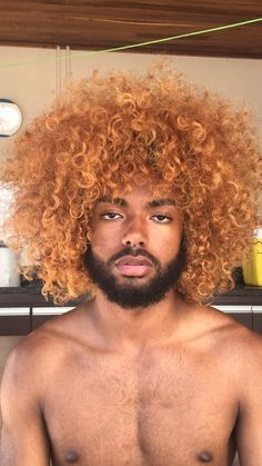 Curly Ginger Hair Men, Black Men Blonde Hair, Black Men Hair Colour, Blonde Hair Men, Ginger Blonde Hair, Black Men Curly Hairstyles, Men Curly Hairstyles