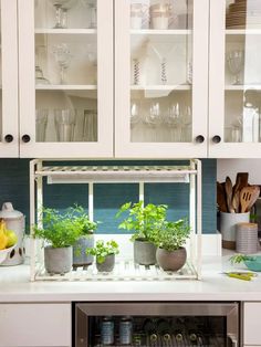 a kitchen with white cabinets and green plants