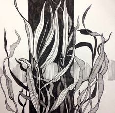 a black and white drawing of some plants