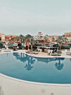 an empty swimming pool surrounded by palm trees