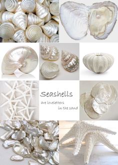 Pearl Inspiration Board, Sea Shell Mood Board, Shell Collage, Mood Board Fashion Inspiration, Pearls Photography, Creative Area, Dream Wedding Decorations, Flower Graphic Design, Showroom Interior Design