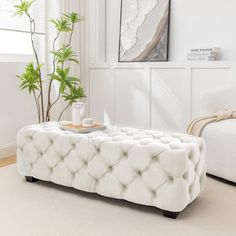 a living room with white furniture and a plant in the corner on the coffee table