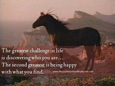 a horse standing on top of a rocky hill next to a quote that reads the greatest challenge in life is discovering who you are