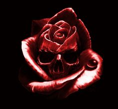 a red rose with a skull in the middle