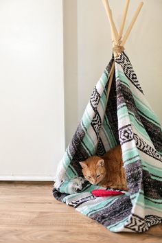 an orange cat laying in a teepee on the floor next to a white wall