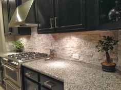 a kitchen with granite counter tops and black cabinets, potted plant on the stove