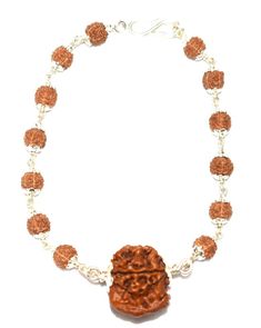 "Product Name : Ganesha Rudraksha Bracelet In silver Bead size : Ganesha Rudraksha (19 mm - 20 mm) , five face rudraksha (6 mm) Design : 1 bead of high quality Ganesha rudraksha of nepal in pure silver attached with small 5 mukhi rudraksha beads ,in silver caps and silver wire having traditional knots design . Origin : Nepal Description : Ganesh Rudraksha bears a Trunk like elevation as is seen on the face of Lord Ganesha, the son of Lord Shiva. Ganesha, the elephant-headed God of success and ov 5 Mukhi Rudraksha, Rudraksha Bracelet, Rudraksha Beads, Silver Caps, Lord Ganesha, Lord Shiva, Ganesha, Pure Silver, Silver Wire