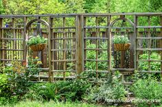 an outdoor garden with wooden trelliss and potted plants