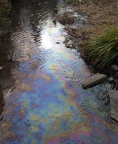 the water is very colorful and it looks to be dyed