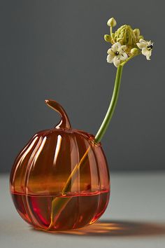 a glass pumpkin shaped vase with a flower sticking out of it's center, sitting on a table