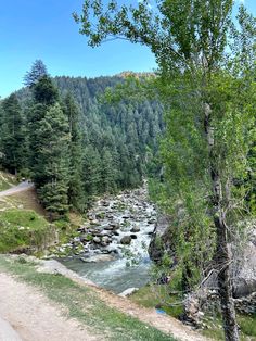 a river running through a forest filled with lots of green trees next to a dirt road