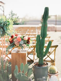 an outdoor ceremony area with cactus, flowers and chairs