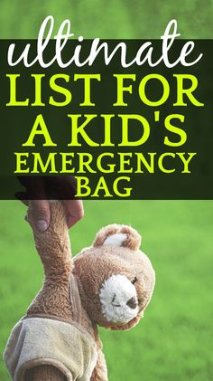 Emergency Kit For Kids, Emergency Kit List, Kids Survival Kit, Tornado Preparedness, Emergency Kit Checklist, Emergency Backpack, Emergency Go Bag, Checklist For Kids, Emergency Prepardness