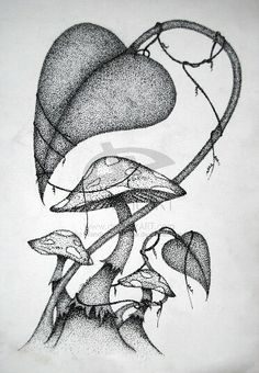 a pencil drawing of mushrooms and leaves