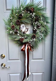 a wreath with two birds on it hanging from the front door, decorated with pine cones and berries