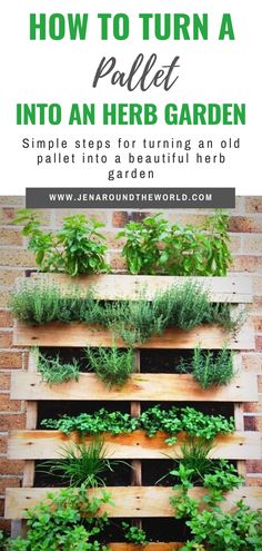 an outdoor herb garden with wooden pallets and plants growing on it, text overlay reads how to turn a pallet into an herb garden