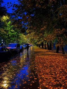 people are walking down the street in the rain with umbrellas and autumn leaves on the ground